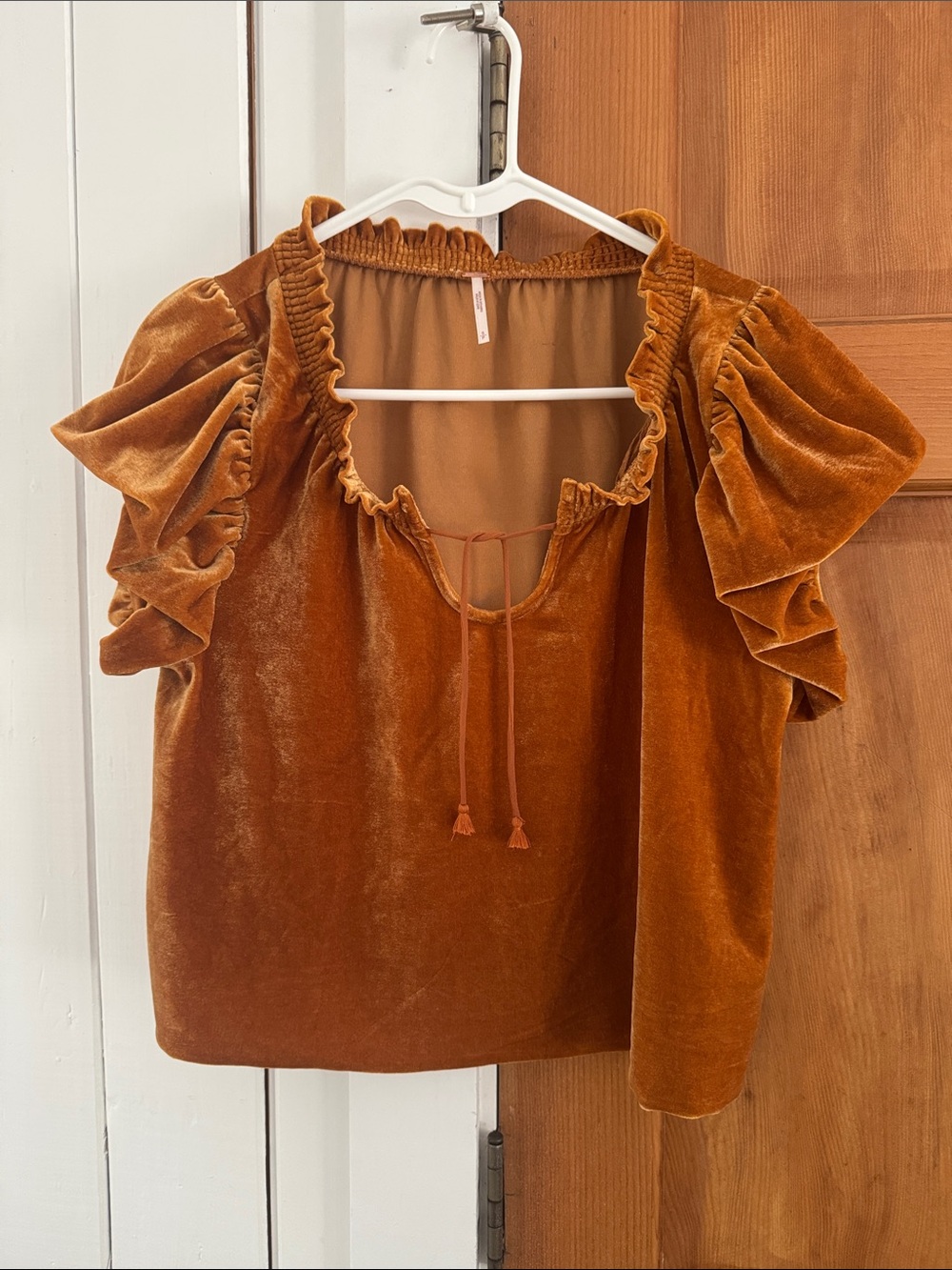 Free People Rust Velvet Ruffle Sleeve Peasant Top